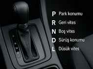 (B) Otomobil Ehliyeti (Otomatik Vites)